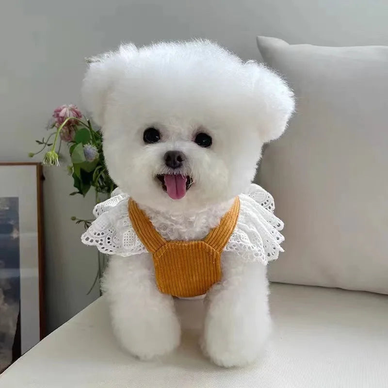 Adorable Pink Corduroy Dog Dress with Bow – Elegant Pet Outfit for Small Dogs