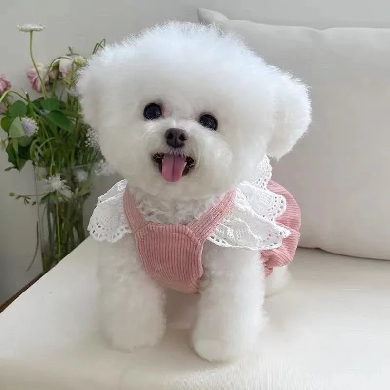 Adorable Pink Corduroy Dog Dress with Bow – Elegant Pet Outfit for Small Dogs