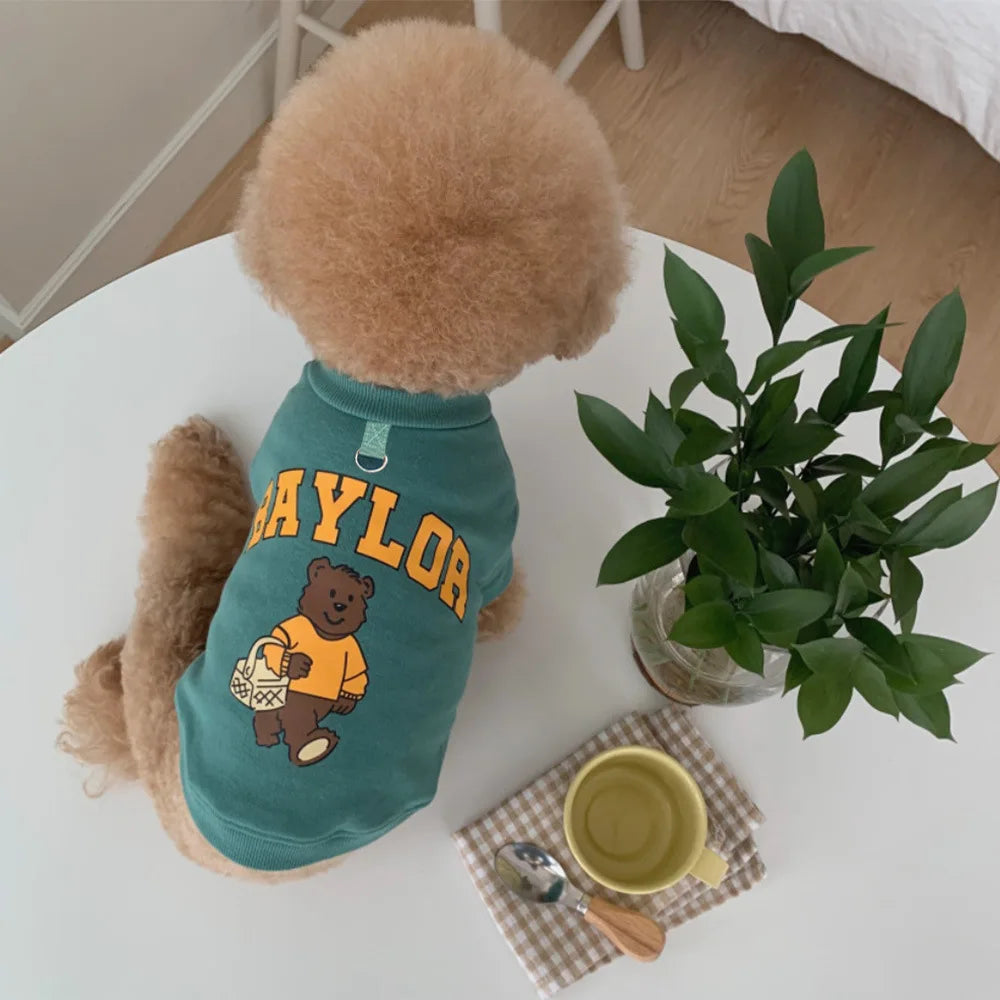 Cute Frog Hoodie for Small Dogs - Warm & Stylish Pet Outfit