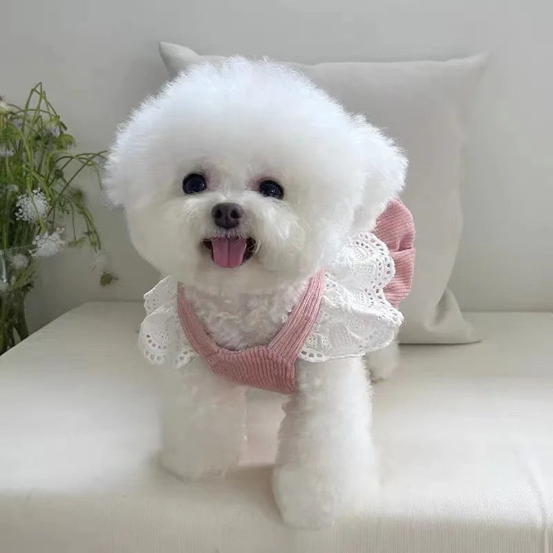 Adorable Pink Corduroy Dog Dress with Bow – Elegant Pet Outfit for Small Dogs